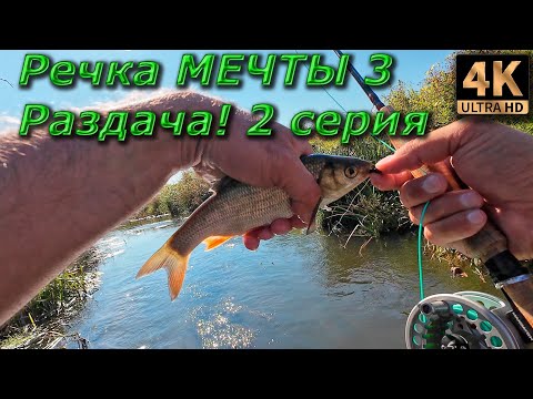 Видео: Нахлыст. Речка мечты. Осеняя раздача! 2 серия.