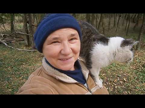 Видео: Можно ли козе давать  картошку?