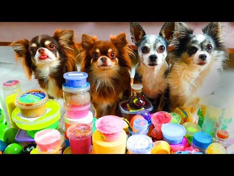 Видео: СНОВА МИЛЛИОН СЛАЙМОВ ПРОТИВ ПИТОМЦЕВ! 3 ДЕНЬ РАСПАКОВКИ КОРОБКИ АНТИСТРЕСС ЛИЗУНОВ