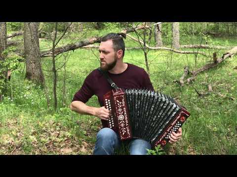 Видео: Что стоишь качаясь тонкая рябина... на гармони