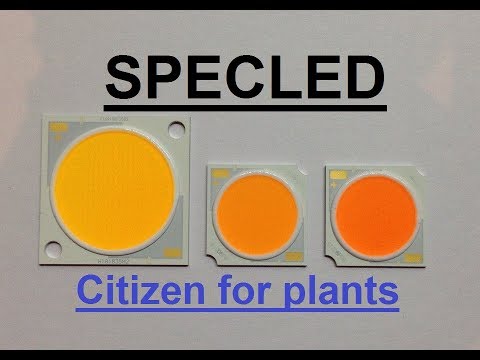Видео: COB Citizen CLU03H-25/55-PW & PRB. Светодиоды для растений, LED Citizen. Фитосветодиод