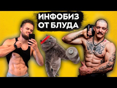 Видео: Курсы от Виктора Блуда l Road to Войтенко