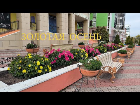 Видео: Золотая Осень  Иваново 2025г