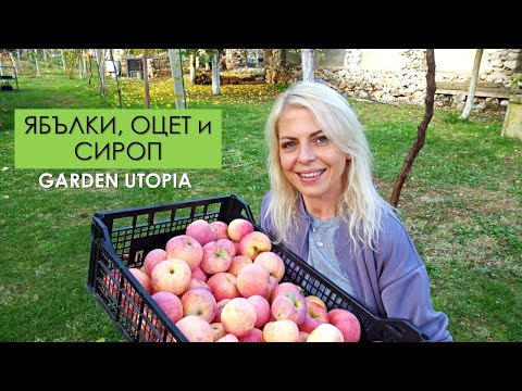 Видео: Съхранение на ЯБЪЛКИ, ФЕРМЕНТАЦИЯ на оцет и СИРОП от бъзак: #Ден 52 от 90 ДНИ НА СЕЛО