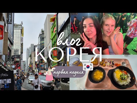 Видео: Студент по обмену в Южной Корее: кампус, ориентации, новые знакомства, ночная жизнь Сеула