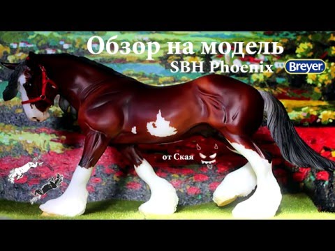 Видео: [ОБЗОР НА МОДЕЛЬ BREYER ] - SBH Phooenix