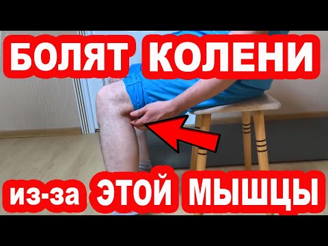 Видео: Из-за этой мышцы болят КОЛЕНИ. Показываю как её вылечить и колени не будут болеть НИКОГДА!
