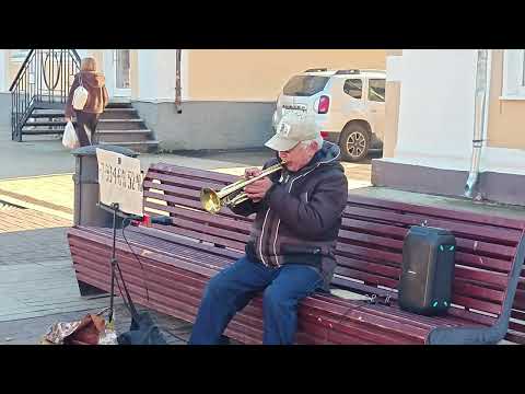 Видео: Трубач - Геннадий Билалов на Соборной площади в Гатчине. 🎺 #трубач