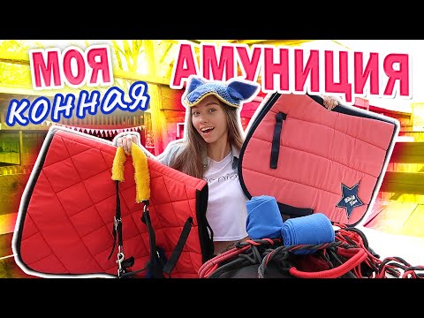 Видео: МОЯ КОННАЯ АМУНИЦИЯ / Распаковка посылки
