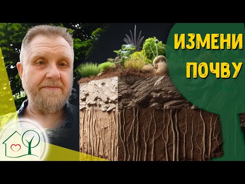 Видео: Как изменить почву Николай Курдюмов