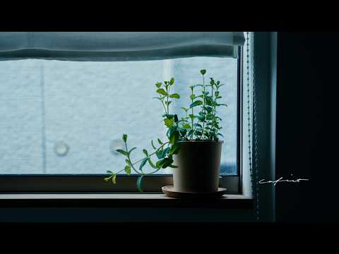 Видео: Омолаживающее утро в одиночестве, мой любимый завтрак и кофе.