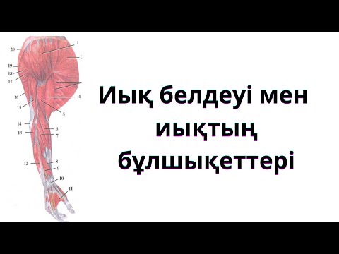 Видео: ИЫҚ БЕЛДЕУІ БҰЛШЫҚЕТТЕРІ. ИЫҚ БҰЛШЫҚЕТТЕРІ.