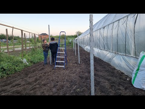 Видео: Шпалера для малины от завода Гефест, как по мне лучший вариант шпалер.