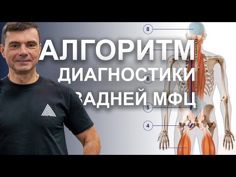 Видео: Поверхностная дорзальная цепь. Тестируем.