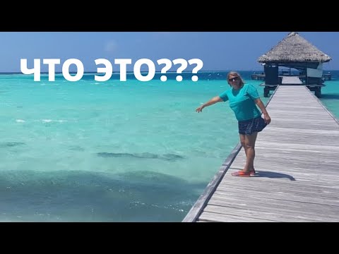 Видео: Мальдивы, Ellaidhoo by Cinnamon, часть2: ЗАБРОШЕННЫЙ остров, ЗАТОНУВШИЙ корабль, ПОЛЁТ на ГИДРОПЛАНЕ