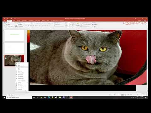 Видео: Курс Компютърна Грамотност и Дигитални Умения - част 4