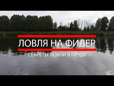 Видео: Рыбалка на фидер.  Секреты ловли осенью в пруду на фидер.