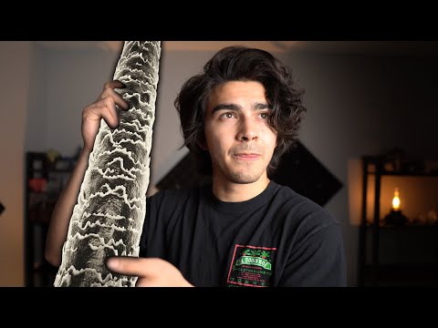 Видео: позвольте мне показать вам ваш ТИП ВОЛОС