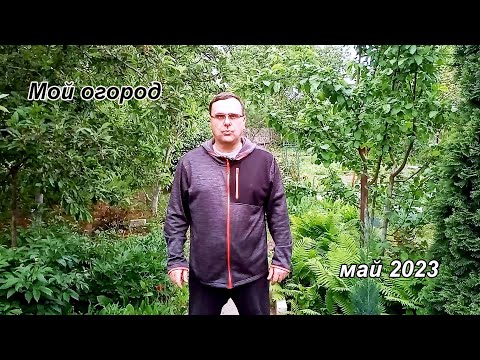 Видео: Мой огород в мае 2023