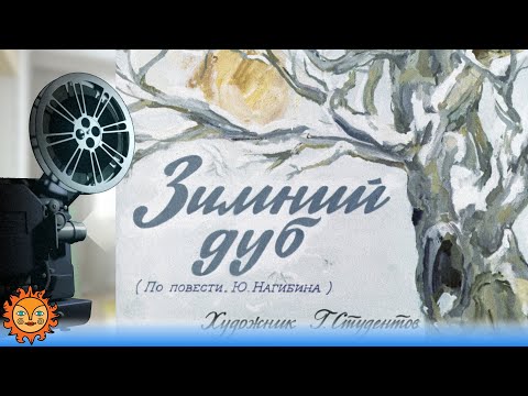 Видео: Зимний дуб