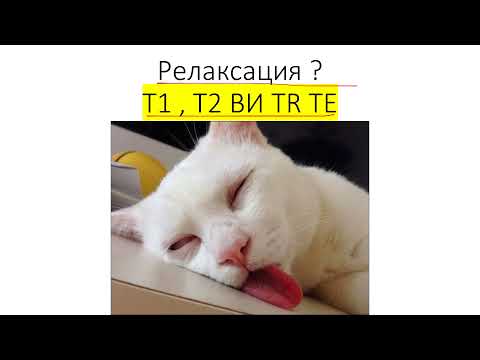 Видео: Основы МРТ(ЧАСТЬ 1). Что такое TR, TE, ИП?