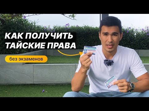 Видео: Как получить тайские права за 50 минут