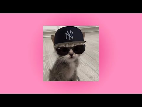 Видео: ✰ плейлист популярных треков с тик тока ✰ speed up ✰