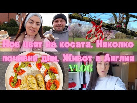 Видео: НОВ ЦВЯТ НА КОСАТА | НЯКОЛКО ПОЧИВНИ ДНИ | ЖИВОТ В АНГЛИЯ,Elly's Vlogs