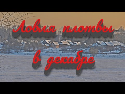 Видео: Зимняя рыбалка. Ловля плотвы в декабре 2021 года.