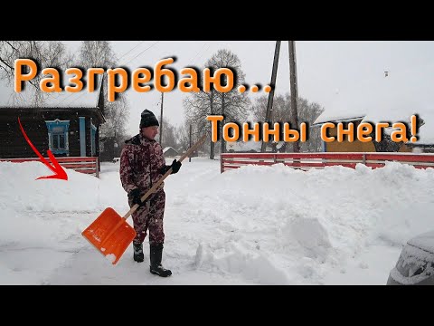 Видео: Типичный день в деревне зимой после снегопада, ЖИЗНЬ В ДЕРЕВНЕ