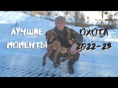 Видео: Охота на зайца. Лучшие моменты за сезон 2022-23.