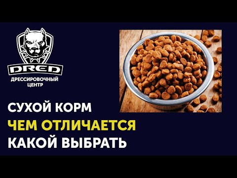 Видео: Сухой корм для собак | Классификация кормов | Чем один сухой корм отличается от другого