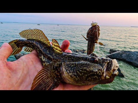 Видео: Снасть на Крупного бичка (КНУТА) / Морська рибалка на кнута з берега