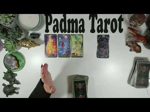 Видео: РЫБЫ♓️ВАС ЖДЕТ ЧУДО! 10-16 НОЯБРЯ. Еженедельное гадание на картах Таро 🔮💫