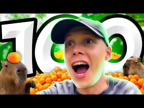 Видео: 100 фактов про ЯНЧИКА (ynchq)
