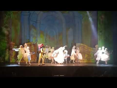 Видео: Бременские музыканты в ДК им. Горького.Фрагменты.Часть 5