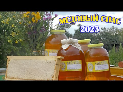 Видео: Медовый СПАС 2023. Итоги сезона. Накачал много мёда.