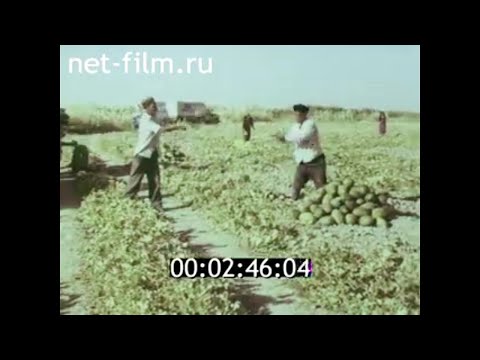Видео: 1980г. Каракумский канал. город Мары. Туркменистан.