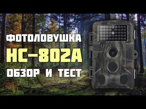 Видео: Фотоловушка HC-802A. Обзор и тест.