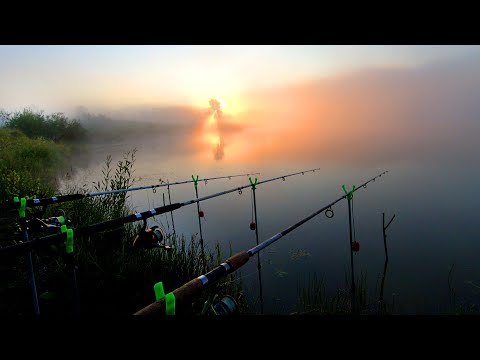 Видео: Рыбалка на Снасть Фантомас - Смерть Карасям! Отличный Улов!