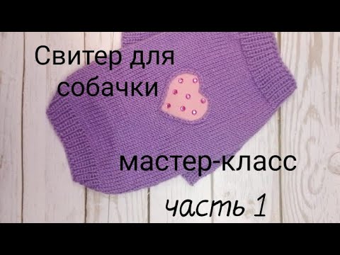 Видео: Свитер для собаки. Мастер-класс. Часть 1