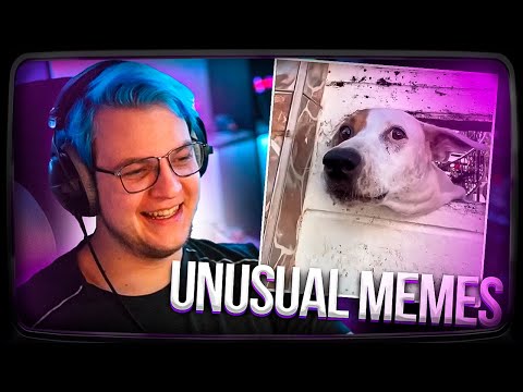 Видео: Пятёрка смотрит | UNUSUAL MEMES COMPILATION V243