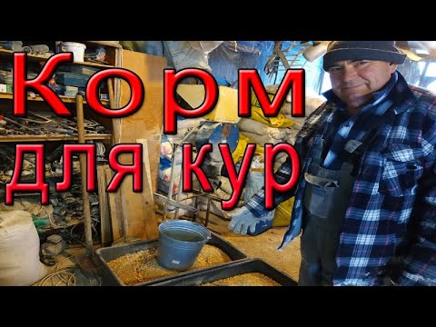 Видео: Чем кормить кур? |  Комбикорм для кур несушек.