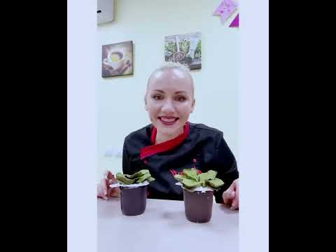 Видео: 💠фиалки 💠из крема зефира ❇️🍇🍉от Елены Поповой elenapo11