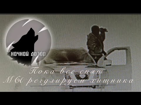 Видео: Охота на хищника. Пока все спят, МЫ, «НОЧНОЙ ДОЗОР» регулируем численность хищника.(фильм 1)