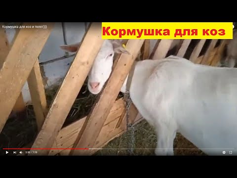 Видео: Кормушка для коз и телят)))