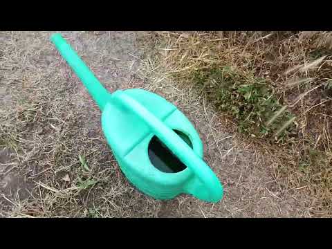 Видео: Підживлення полуниці в корінь електро обприскувачаем Форте через крапельний полив!!!