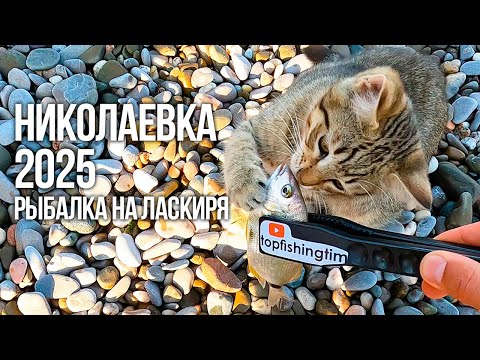 Видео: РЫБАЛКА НА ЧЕРНОМ МОРЕ в Николаевке ЛЕТО 2025 год.