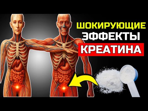 Видео: 10 РЕАКЦИЙ ВАШЕГО ОРГАНИЗМА ПРИ ЕЖЕДНЕВНОМ ПРИЁМЕ 5 ГРАММОВ КРЕАТИНА