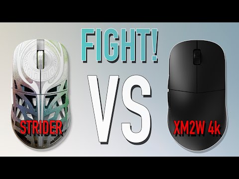 Видео: Обзор WLMouse Strider | СРАВНЕНИЕ с XM2w 4k (#wlmouse #strider #mouse #review)